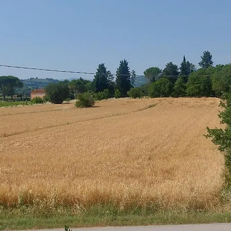 Della Pia