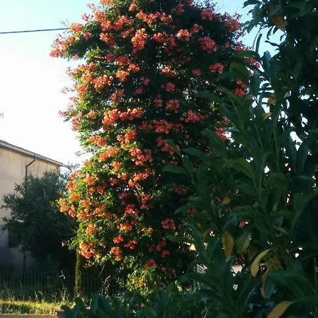 Сasa de vacaciones Della Pia